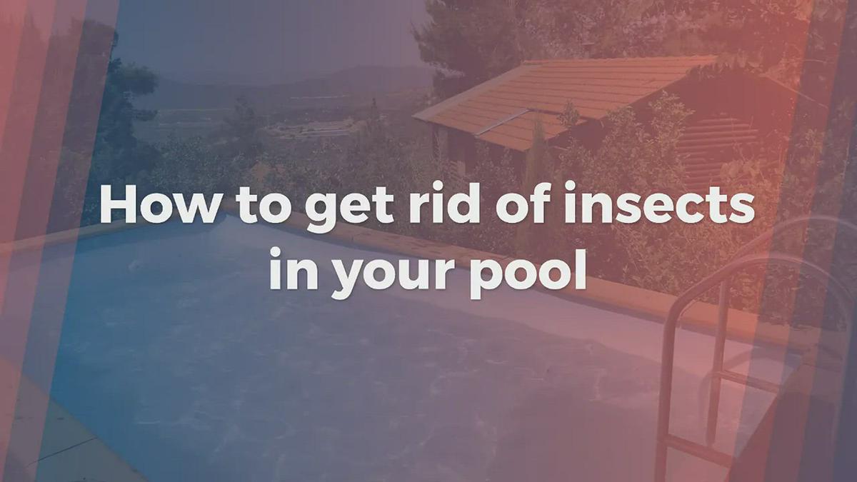 'Video thumbnail for How to get rid of insects in your pool'